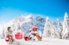 11 самых привлекательных сезонных зимних депозитов